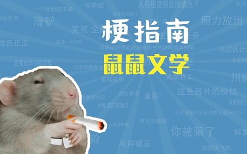 鼠鼠文学是什么网络梗