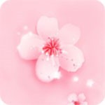 冈本视频软件下载安装