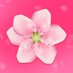 蜜柚视频在线观看高清完整版