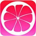 红杏直播app安卓版