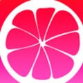 鉴黄师在线下载