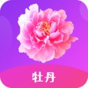 桃花直播免费播放