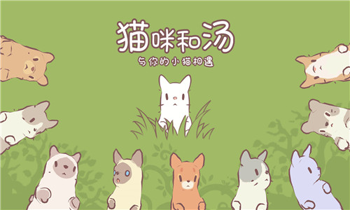 猫咪和汤最新版本4