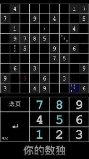 你的数独yourSudoku1