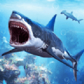 白鲨攻击任务White Shark Attack Mission 3D完整版下载